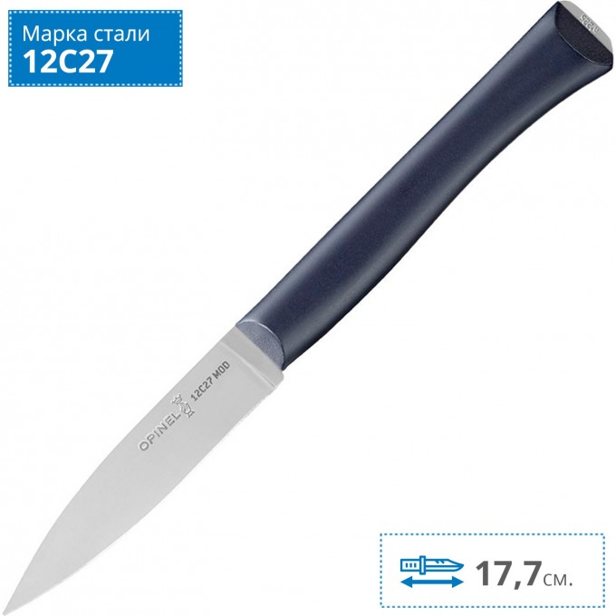 Нож столовый OPINEL, NEWINTEMPOR, деревянная ручка, нерж, сталь. 002223 Нож столовый OPINEL, NEWINTEMPOR, деревянная ручка, нерж, сталь. 002223